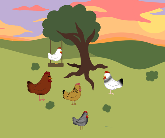 Beginners Guide to Poultry Keeping and the BEST Breeds for Novices!