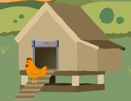 Why Every Chicken Keeper Needs an Automatic Chicken Coop Door