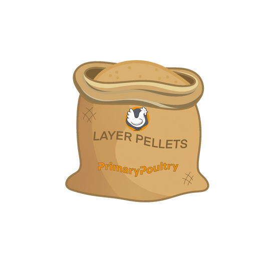 Expert Feeding Tips: The Essential Guide to Poultry Nutrition.