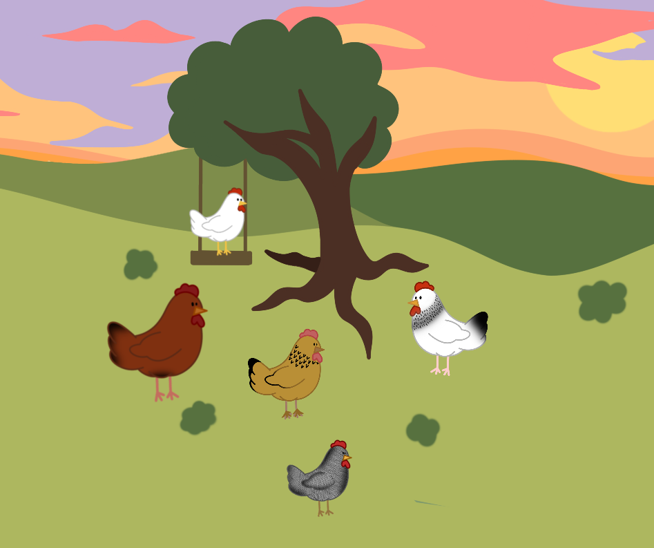 Beginners Guide to Poultry Keeping and the BEST Breeds for Novices!