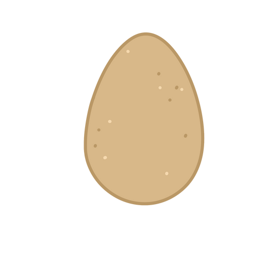 Preparing a Brooder for Your Newly Hatched Chicks