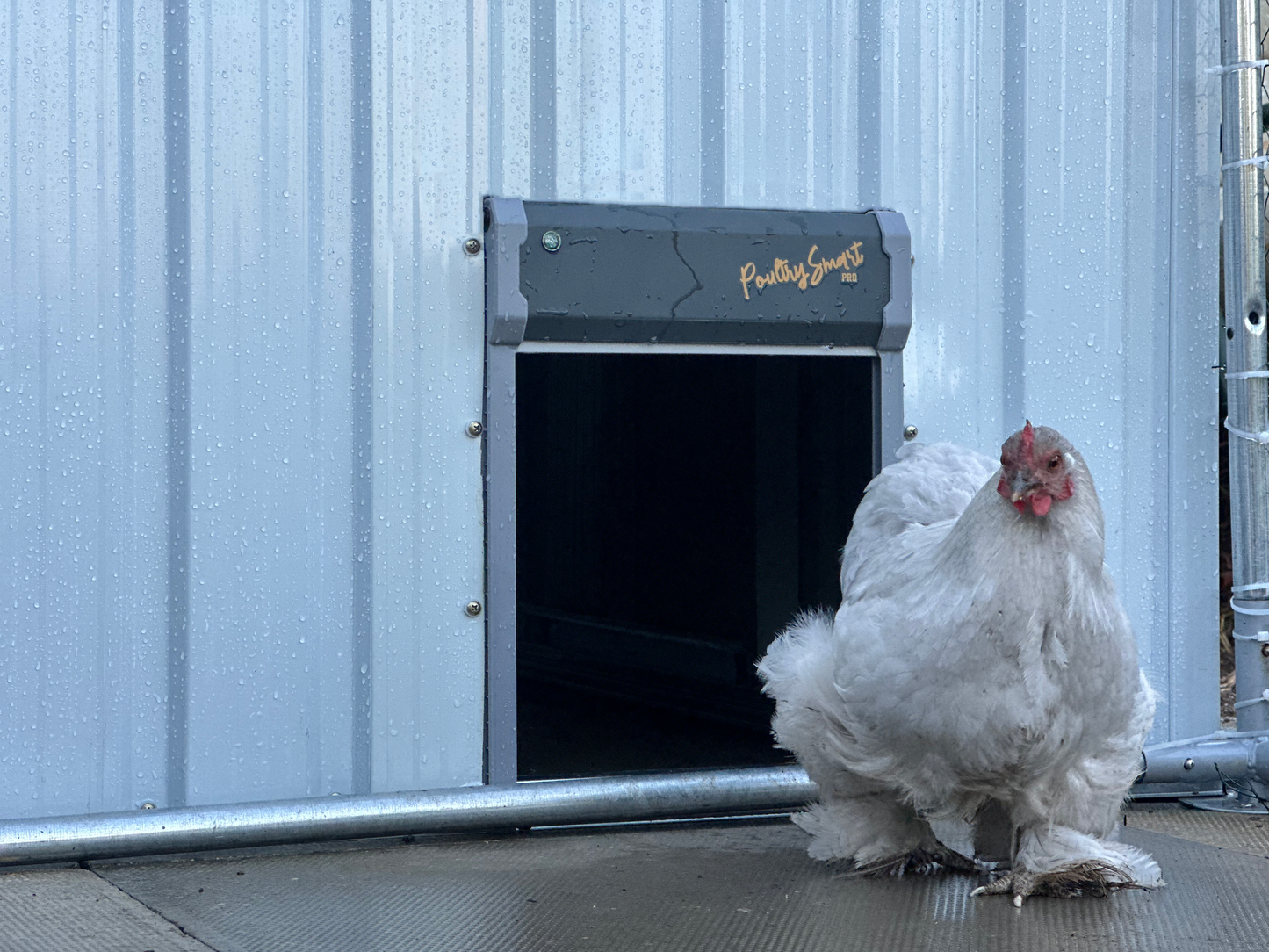 PoultrySmart™ PRO Automated Coop Door System